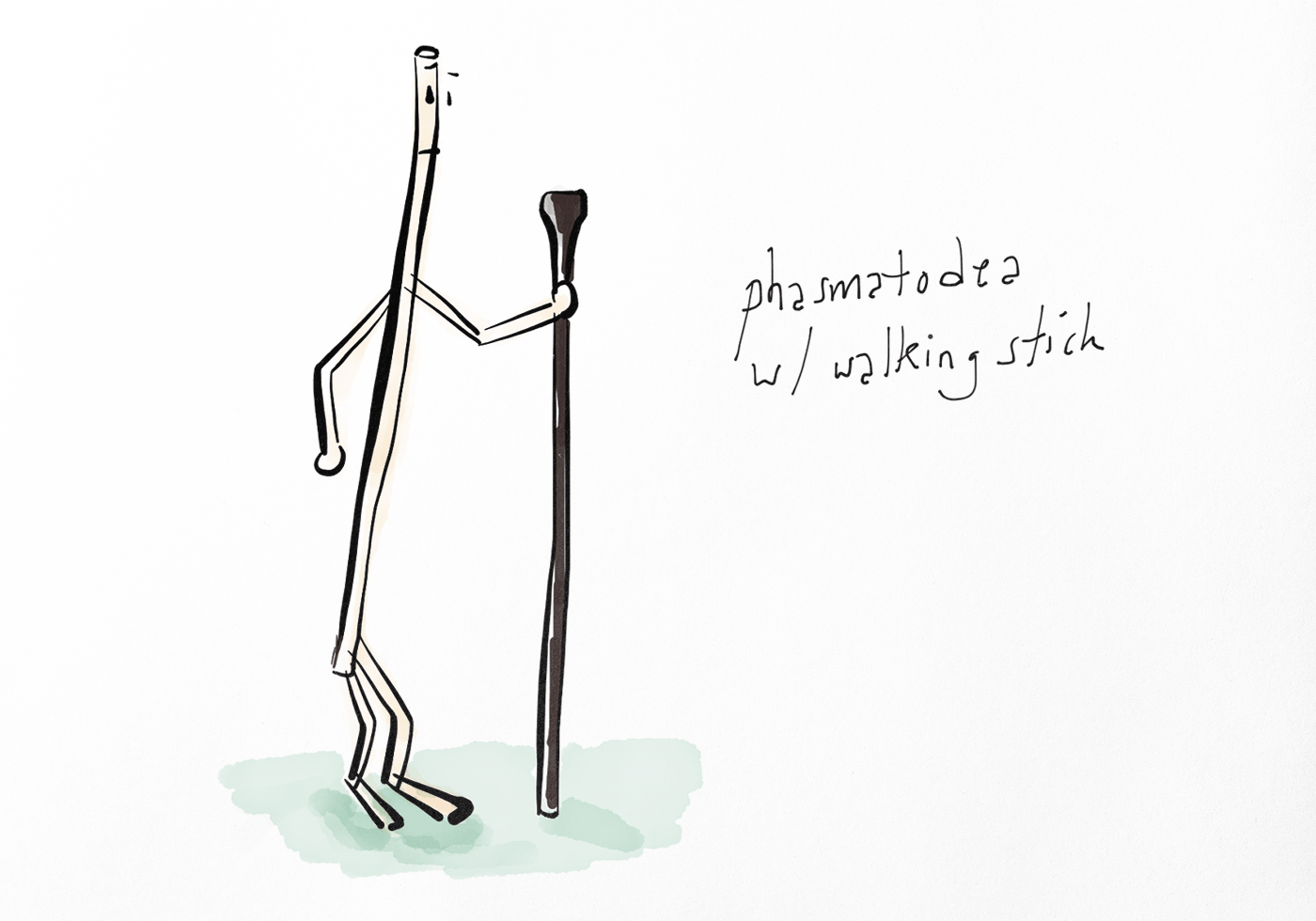 Illustration-walking-stick