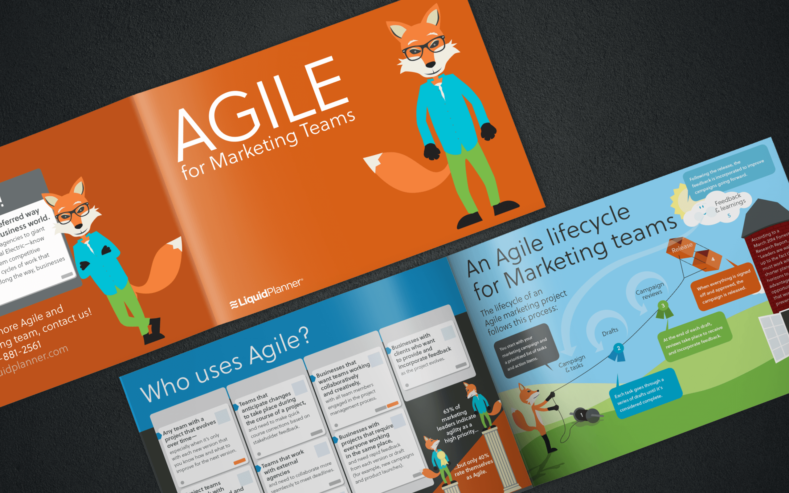 LiquidPlanner Agile for Everyone eBook