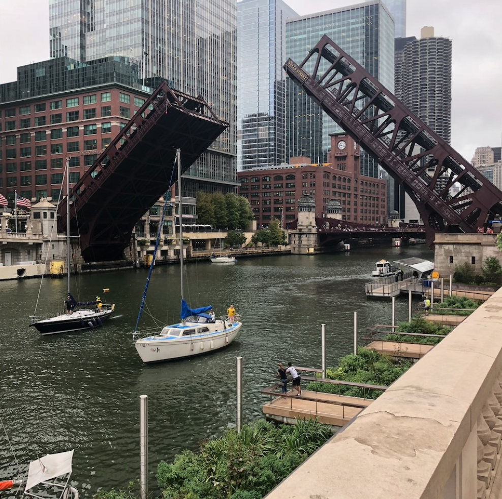 Enjoying Chicagoland with my family since the Cubs big win